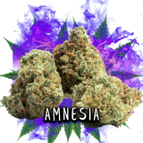 AMNESIA - FLORES CBD 3GR