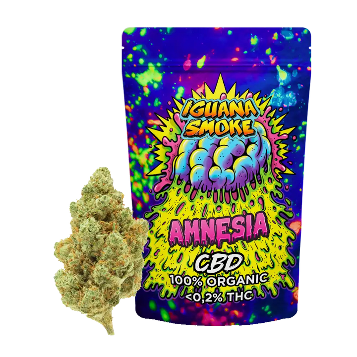 AMNESIA - FLORES CBD 3GR