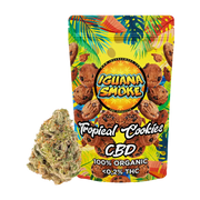 TROPICAL COOKIES - FLORES CBD 3GR - Croco Spain